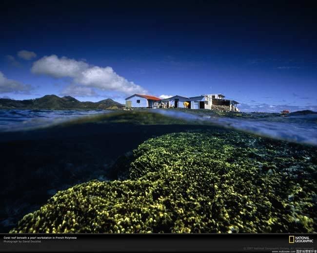 乐鱼（LEYU）体育-关于跨越洲际：WRC每年在不同国家的精彩表现的信息