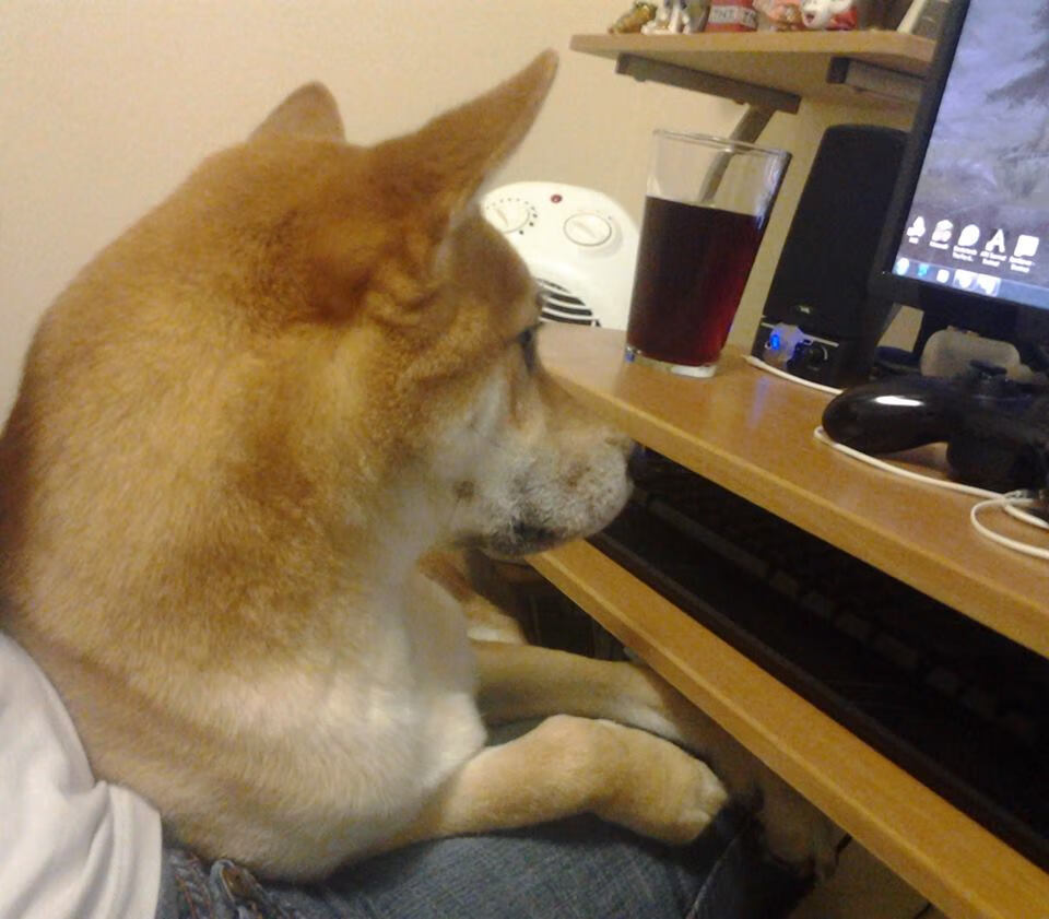 乐鱼app-MVP王强：凭借关键三分主宰比赛！，王强比赛视频