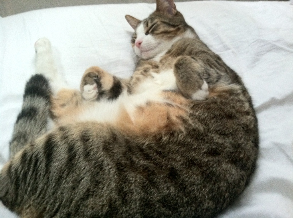 _年度最佳单场比赛:精彩回放引爆全场_,单场最高得分