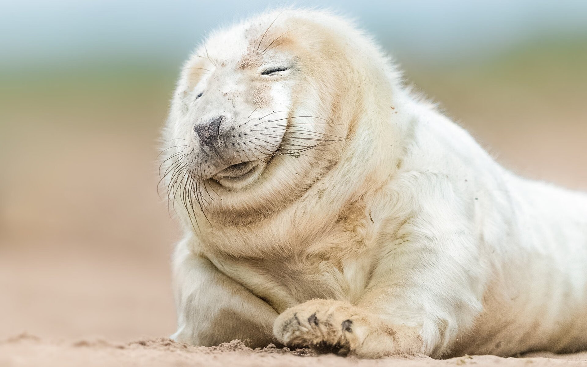 乐鱼app-_精彩对决：经典五盘大战令人难忘_，精彩对抗