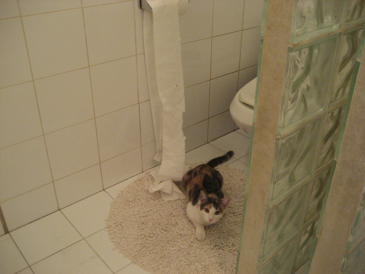 乐鱼体育APP官方下载-“足球公益活动：带来更多青少年参与体育的机会”，足球俱乐部公益活动