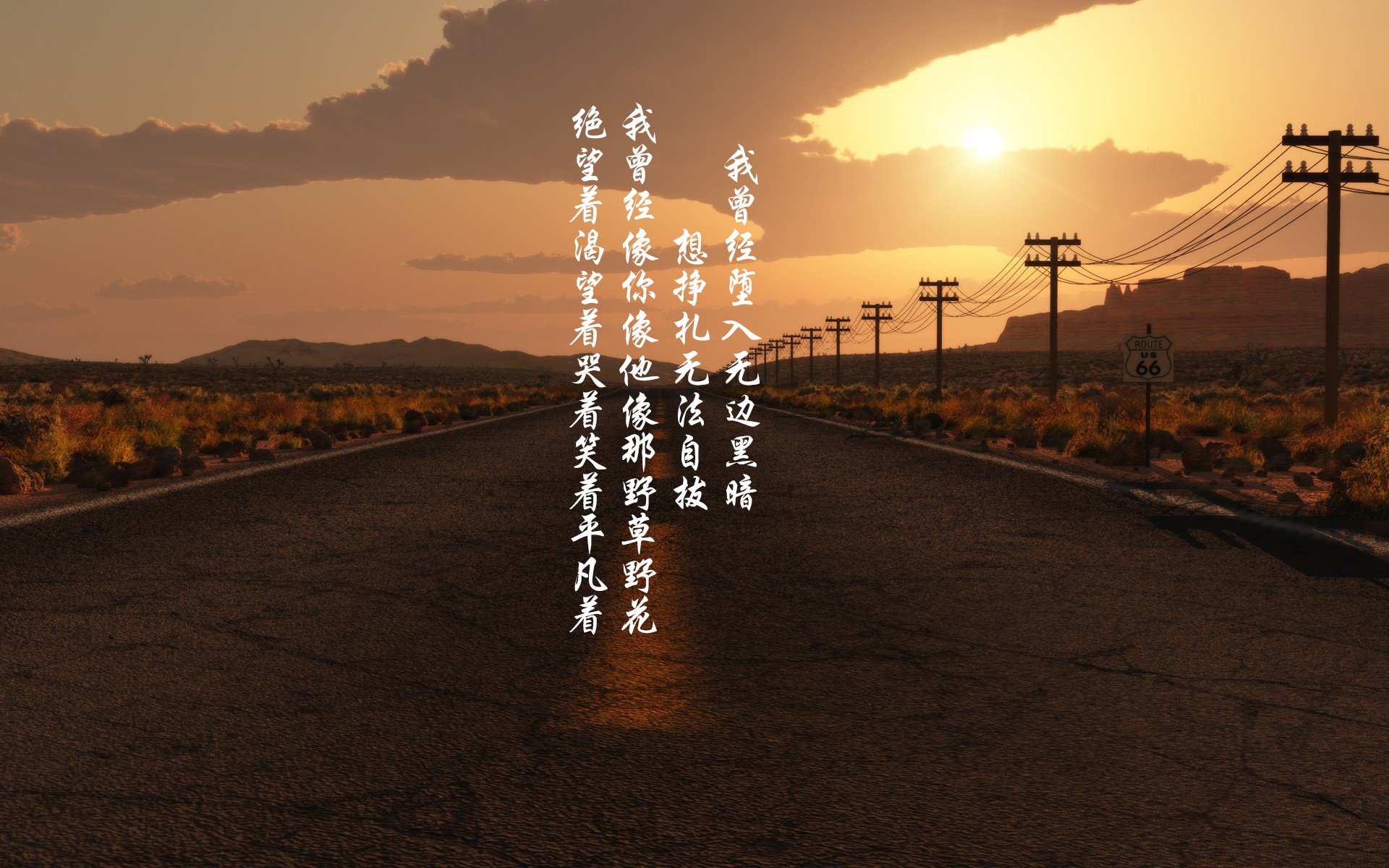 全明星梦:明星赛背后隐藏的训练故事,全明星赛有哪些项目