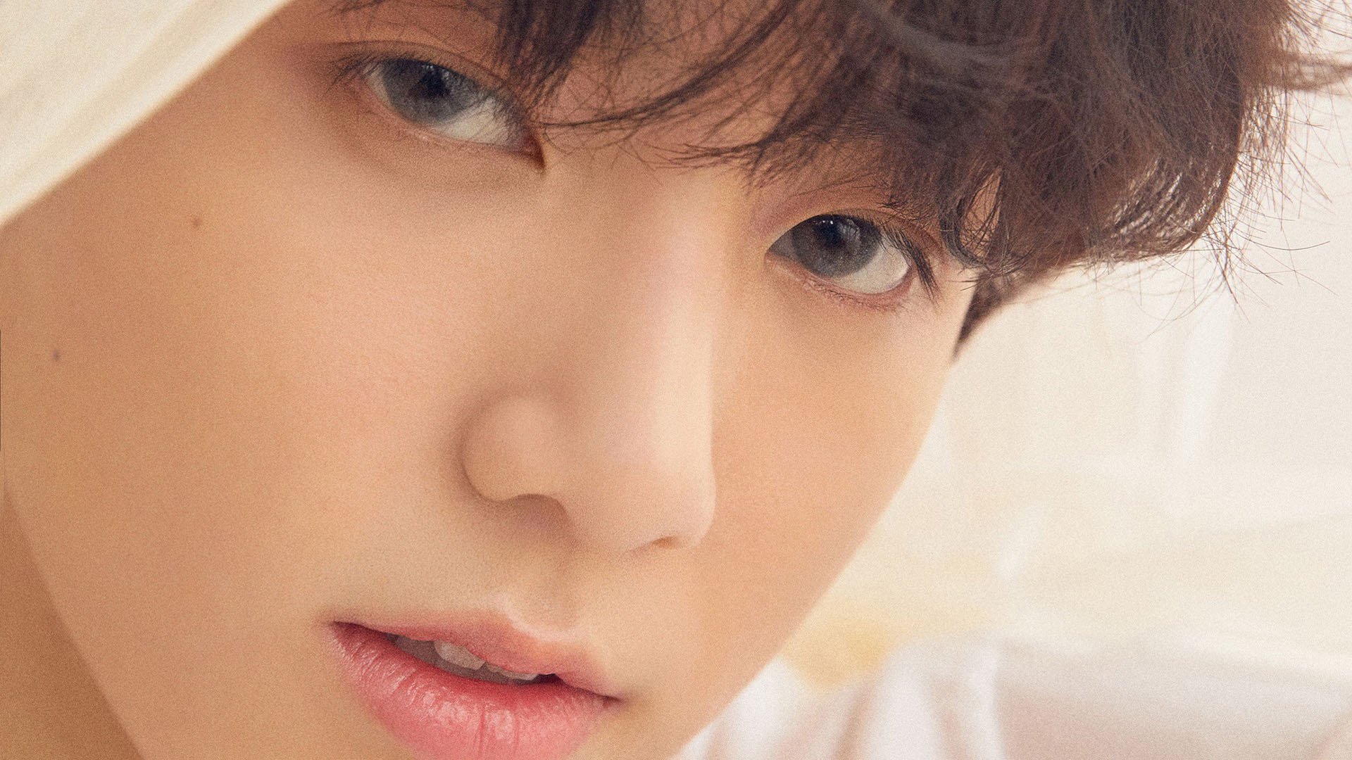 不来梅球队在场上展现出色的团队合作,取得胜利,不来梅球衣赞助商