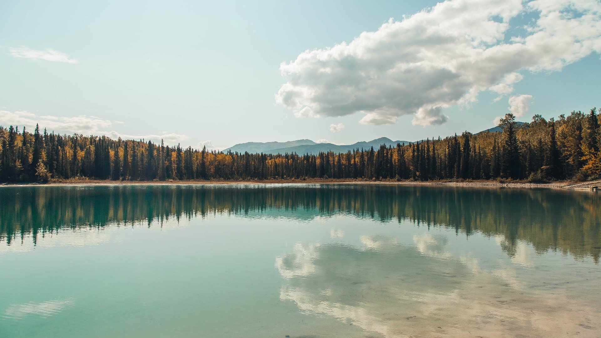 凯尔特人塔图姆继续稳定输出,18赛季凯尔特人塔图姆数据