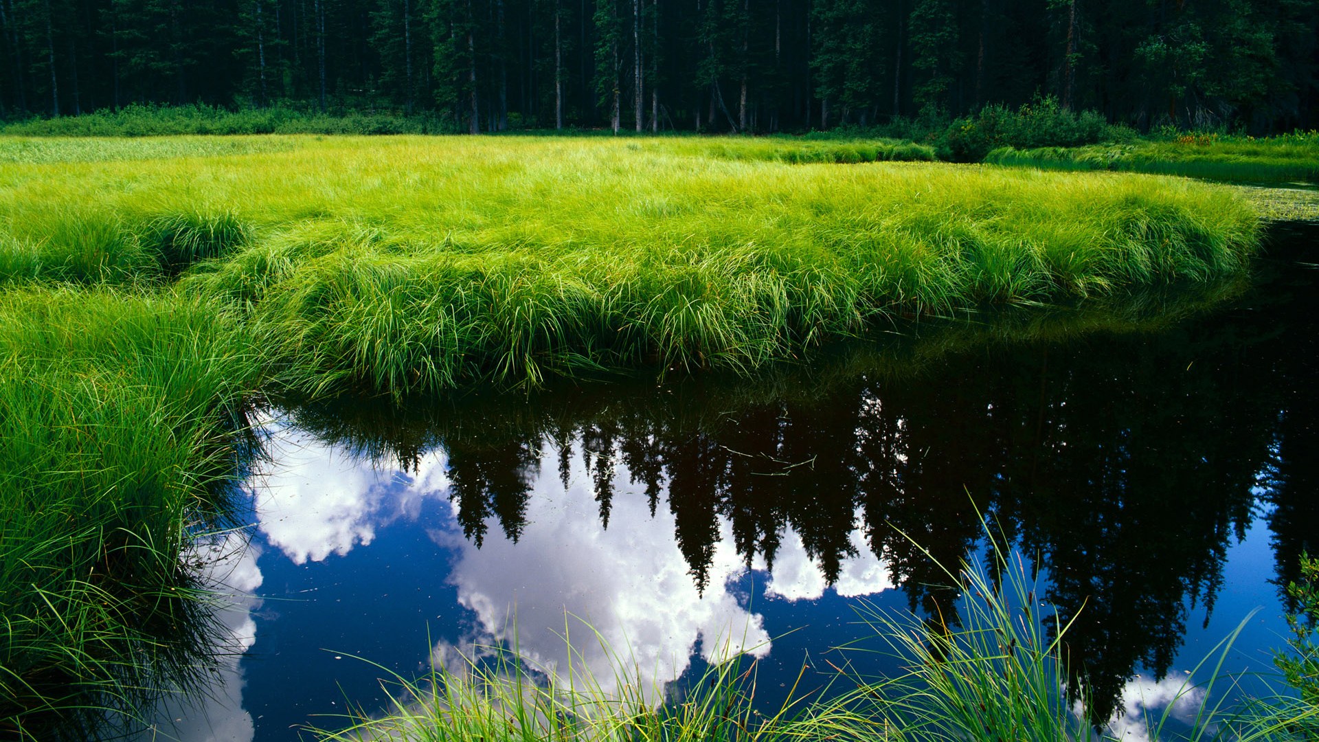 巴塞罗那核心受伤,缺阵影响球队整体表现,巴塞罗那核心受伤,缺阵影响球队整体表现吗