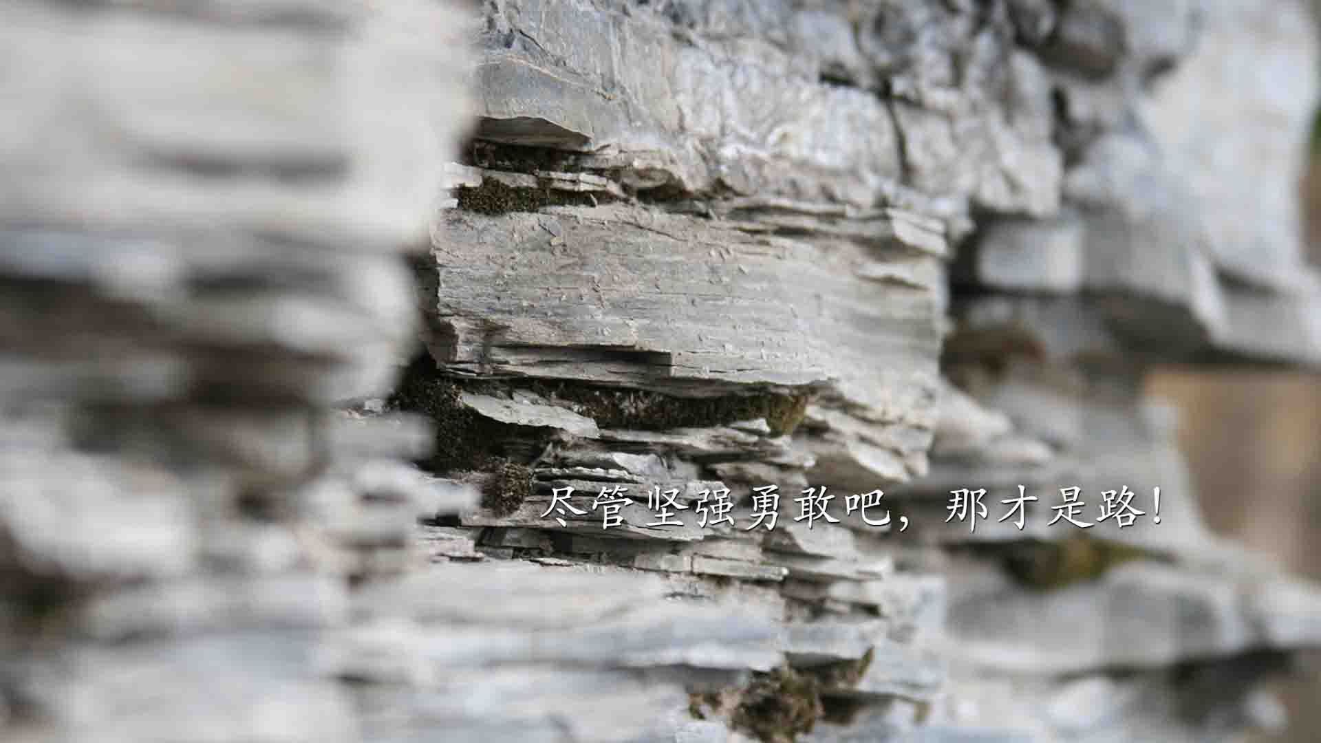 湖南男篮在场上全力拼搏，获得胜利，湖南省男篮