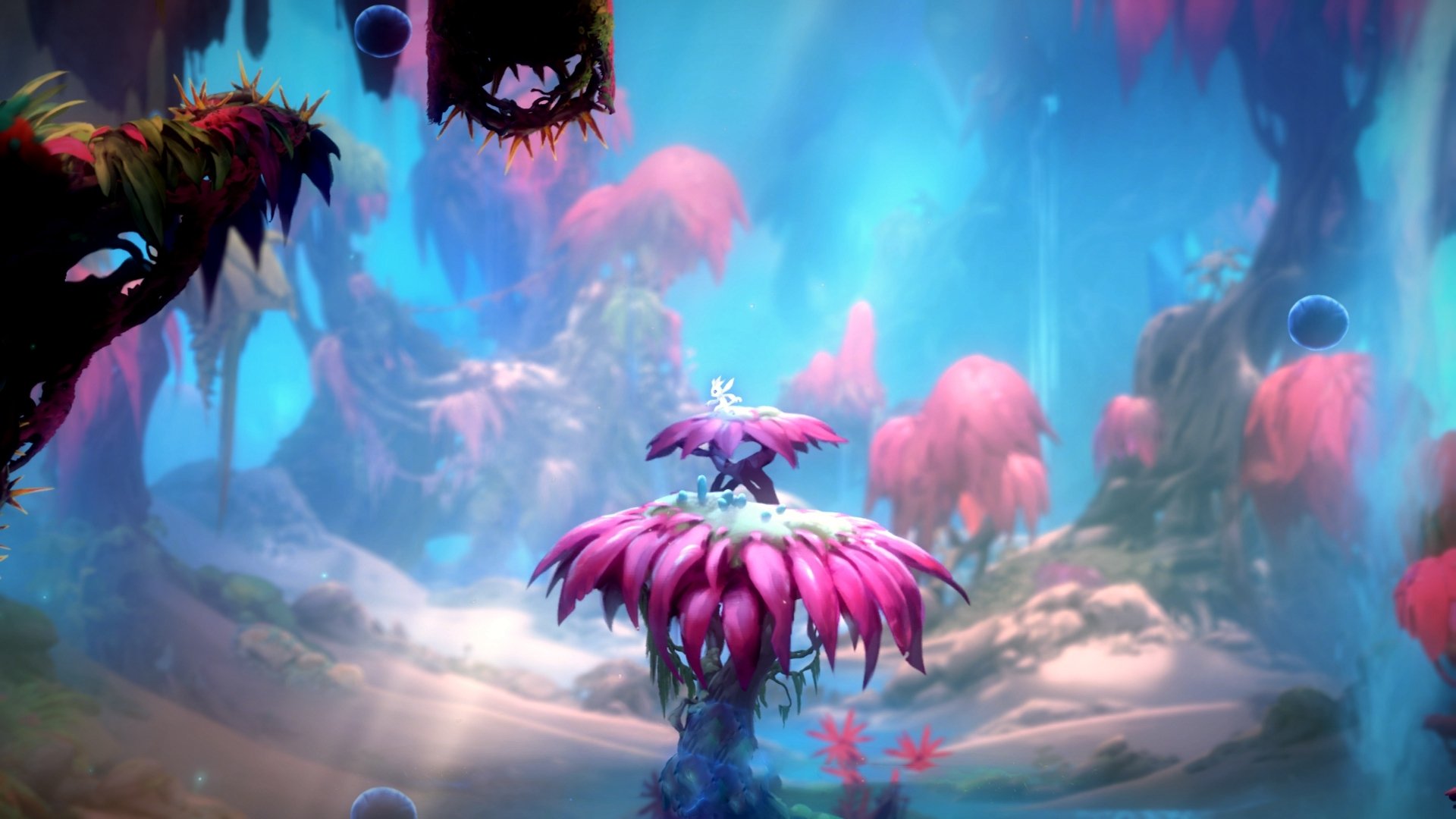 乐鱼电竞在线平台-篮网主帅：球队需要更多球员相互配合，篮网主帅是谁