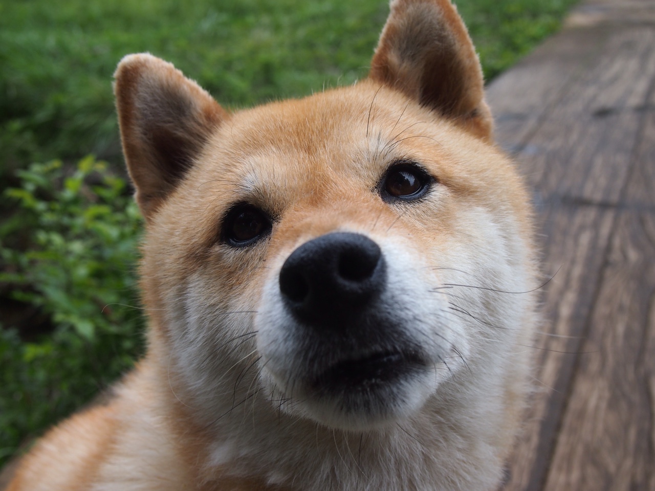 西班牙选手稳扎稳打,成功晋级,西班牙队友