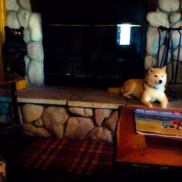 乐鱼vip-NBA联盟重大赛事筹备中的多方协调机制分析，nba联盟规则详情