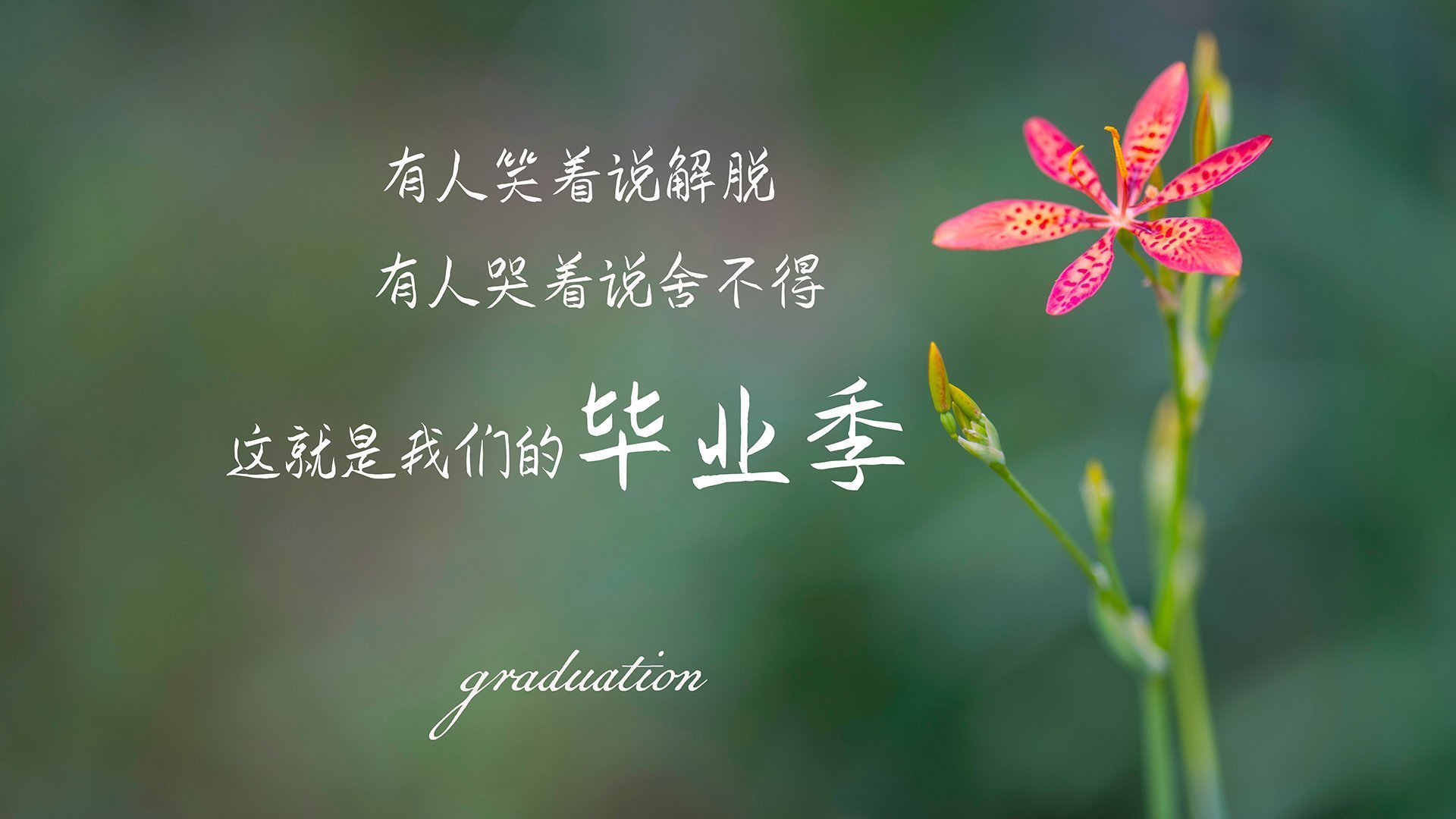 乐鱼（中国）体育官方网站-中国篮球联赛数据挖掘技术在战术分析中的应用探索，篮球数据分析报告