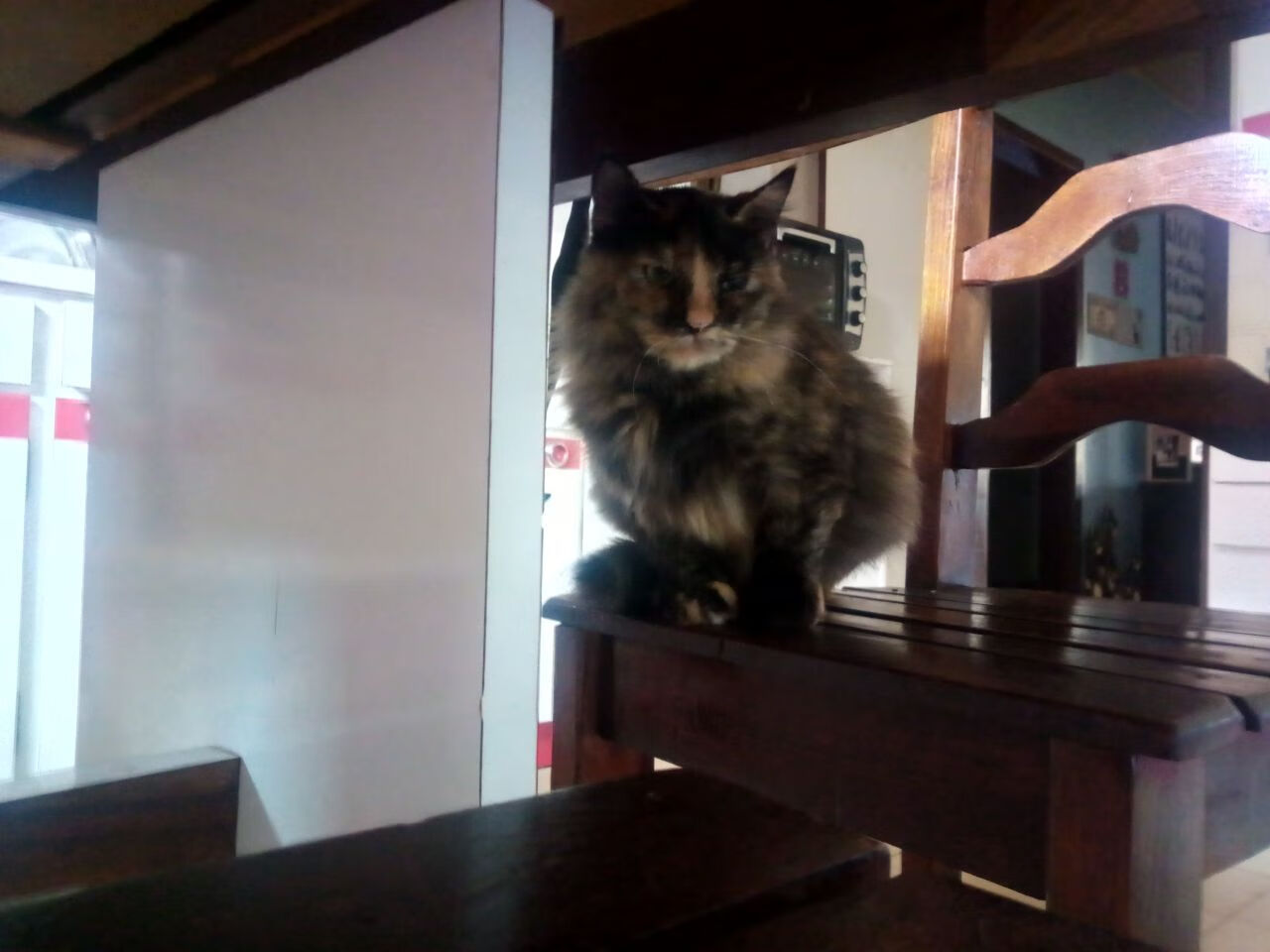 乐鱼体育App下载-赛季中转折点：影响冠军归属的重要比赛回顾，季中冠军赛奖杯要归还吗