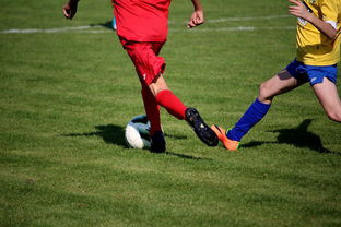 乐鱼电竞-仰泳大战美队领先毫厘之间，仰泳比赛视频欣赏