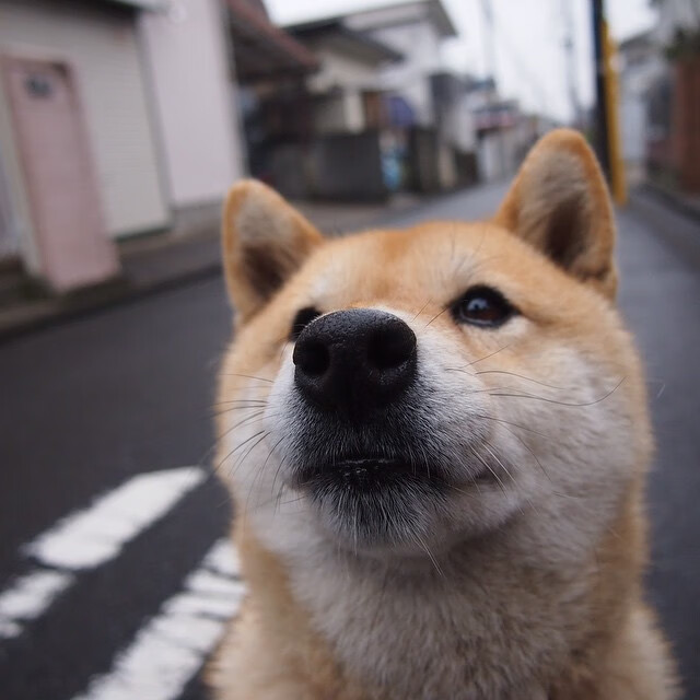 库里命中七记三分率队晋级,库里命中了多少记三分