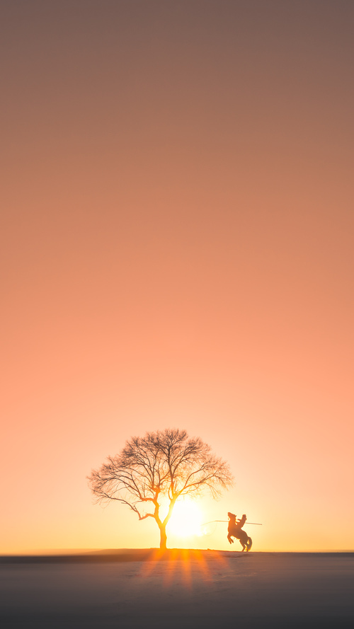 德甲攻防决战：每一次争夺都令人屏息，德甲防守