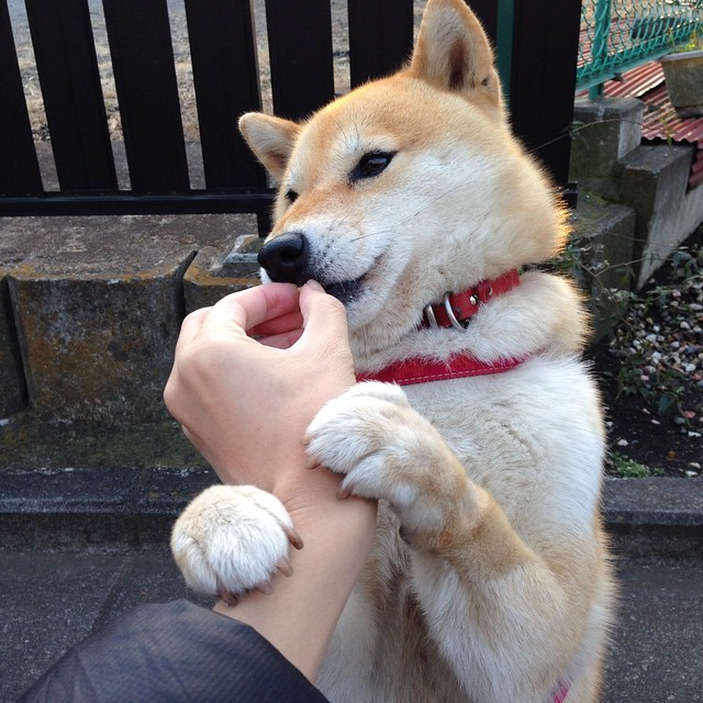 施瓦茨中段发力 展现后程能力，施瓦茨集团