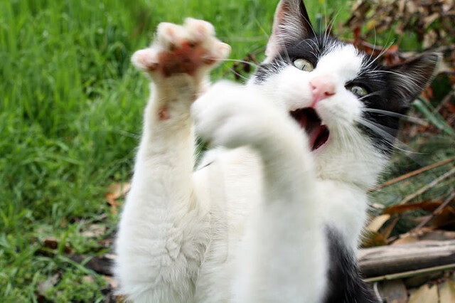 热火球员学习急停跳投提高投篮稳定性，热火连续抢七个进攻篮板