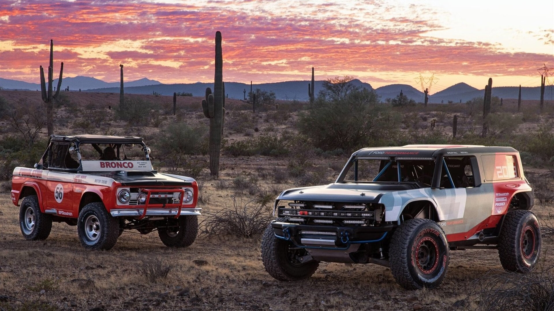 乐鱼电竞在线平台-跳水动作精准韩国收获信心，韩国跳水选手搞笑
