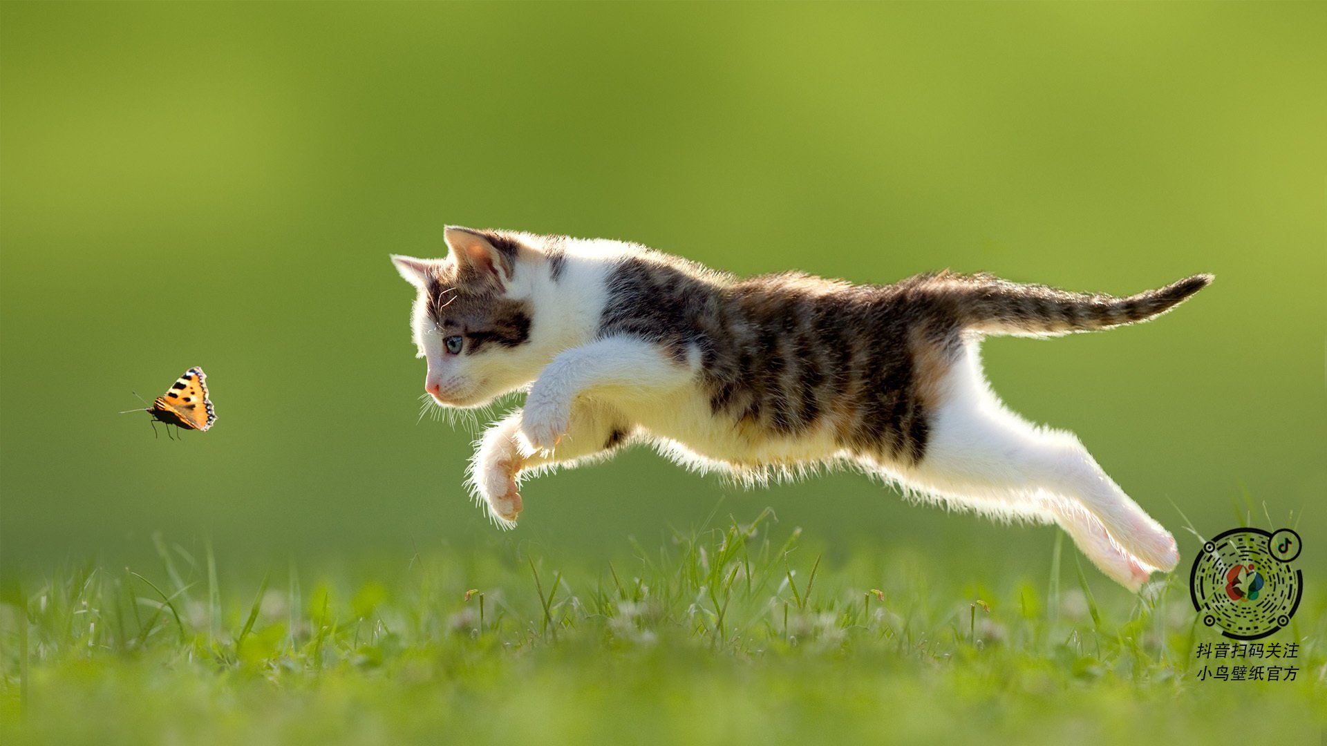 leyu乐鱼-英格兰男队备战世界杯引发全球热议，英格兰足球队世界杯